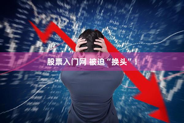 股票入门网 被迫“换头”！
