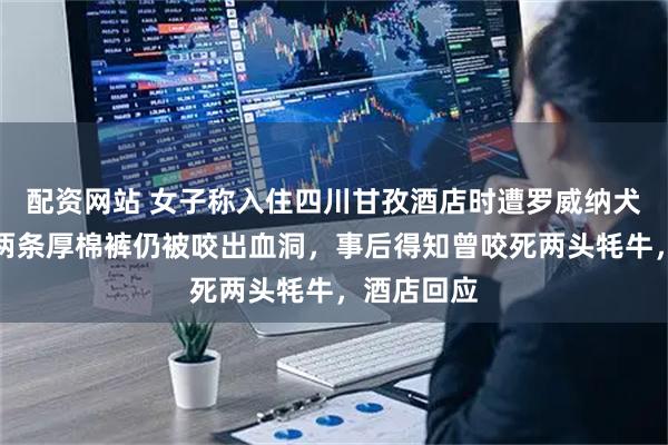配资网站 女子称入住四川甘孜酒店时遭罗威纳犬咬伤，隔两条厚棉裤仍被咬出血洞，事后得知曾咬死两头牦牛，酒店回应