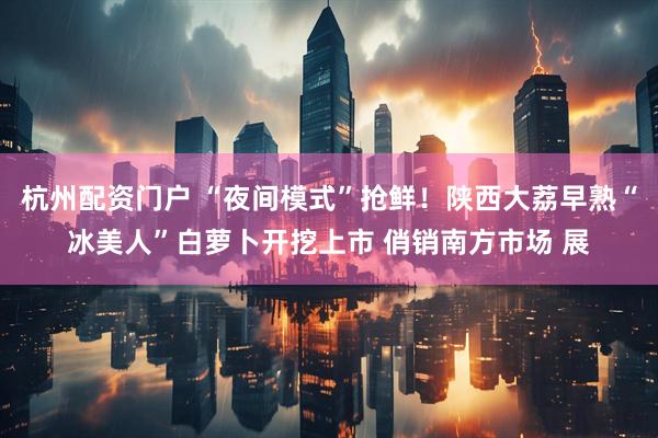 杭州配资门户 “夜间模式”抢鲜！陕西大荔早熟“冰美人”白萝卜开挖上市 俏销南方市场 展
